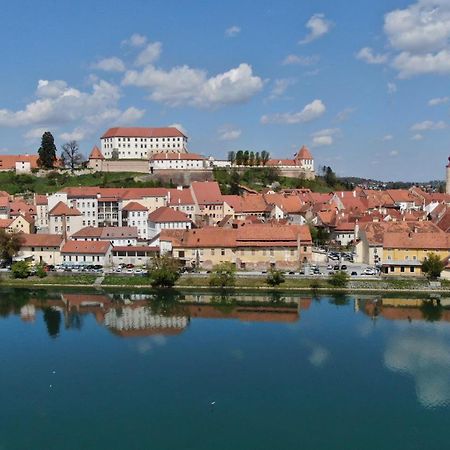 Guesthouse Pri Tonetu Ptuj Zewnętrze zdjęcie